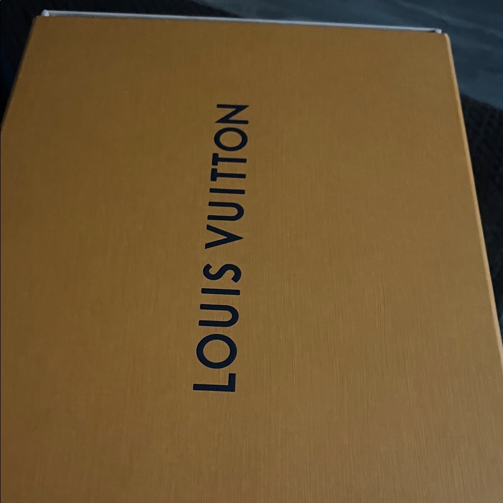 Louis Vuitton Skater Shoes worn twice. Authentic